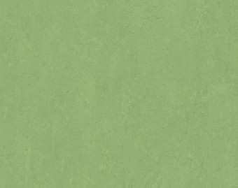 [100111112_33] Marmoleum Fresco - 3260 leaf